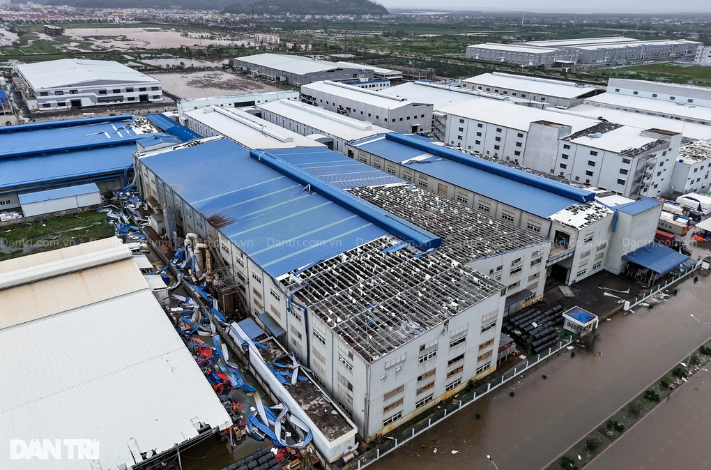 Hải Phòng thiệt hại gần 11.000 tỷ đồng vì bão Yagi